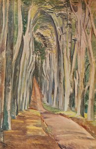 Savernake Ormanı, 1935