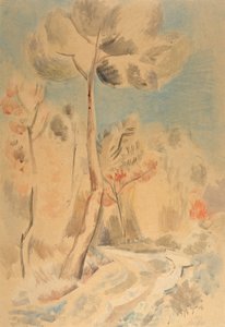 Çam by Paul Nash