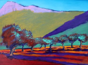 Zeytin ağaçları by Paul Powis