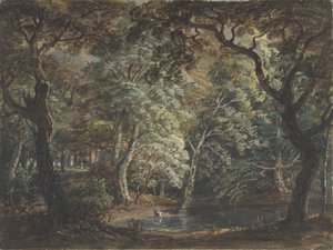 Windsor Büyük Parkı, 1790-99. by Paul Sandby