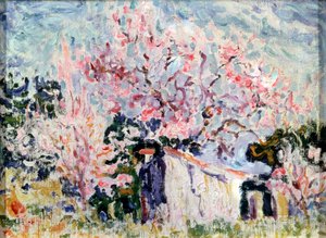 Provence