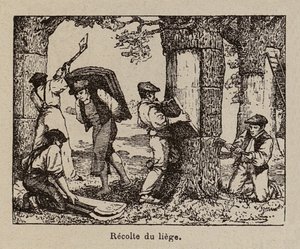  by Paul de Laubadere