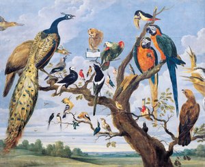 Kuşlar Konseri, Paul de Vos (1591-1678 dolaylarında), Hollanda