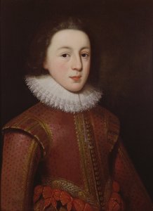 Galler Prensi Henry