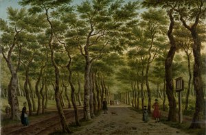Haagse Bos