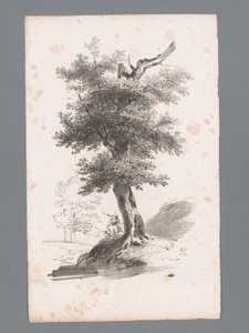 Ağaç ile manzara Manzara ilkeleri (dizi başlığı) Principles de paysages (dizi başlığı)