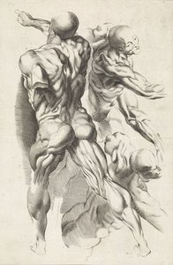 Uzanmış kolları olan üç figürün anatomik çalışması Peter Paul Rubens'in çizim kitabı (seri başlığı)