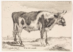 benekli öküz Öküz ve İnekler (dizi adı) by Paulus Potter (rejected attribution)