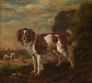  by Paulus Potter