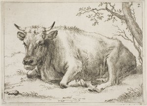  by Paulus Potter