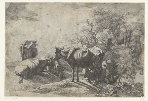 çoban by Paulus Potter