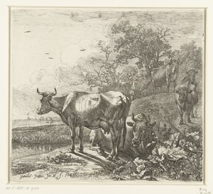 çoban by Paulus Potter