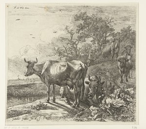çoban by Paulus Potter