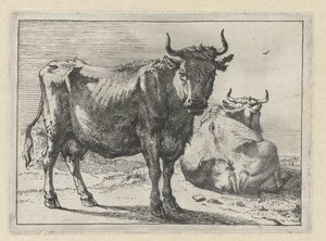 Ayakta ve yalancı bir inek Bullen Kitapçığı (seri başlığı) by Paulus Potter