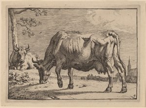 otlayan inek by Paulus Potter