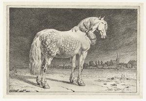 Frizyalı at Atlar (dizi adı) by Paulus Potter