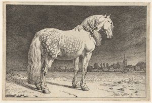 Frizyalı at Atlar (dizi adı) by Paulus Potter