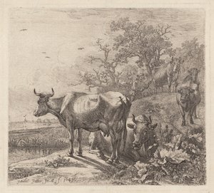 Çoban by Paulus Potter