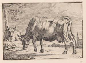  by Paulus Potter