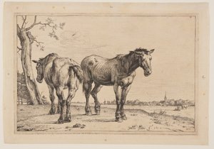  by Paulus Potter