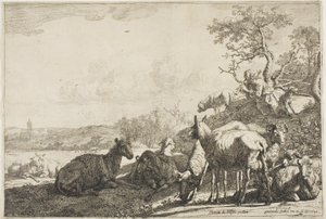 Çoban by Paulus Potter