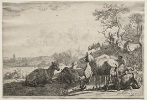 Çoban by Paulus Potter