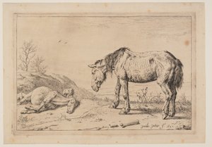  by Paulus Potter