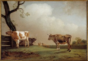 Çayır Öncesinde inek sürüsü. Paul Potter (1625-1654) 1652 Sun tarafından tablo. 0,84x1,21 m
