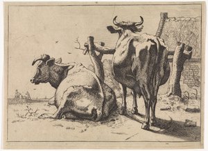 Arkadan görülen iki inek Bullen Kitapçığı (seri başlığı) by Paulus Potter