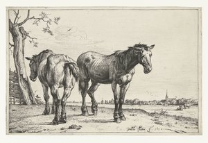 iki pulluk atı Atlar (dizi adı) by Paulus Potter