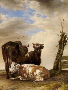 Çayırda Bir Çitin Yanında İki İnek ve Genç Bir Boğa by Paulus Potter