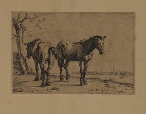  by Paulus Potter