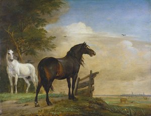 Çayırda Bir Kapının Yanında İki At by Paulus Potter