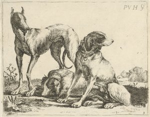 Üç köpek Farklı köpekler (dizi başlığı)