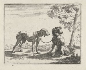 İki köpek Köpekler (dizi adı)