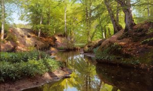 P.Mönsted, orman deresinde güneşli bir gün by Peder Monsted