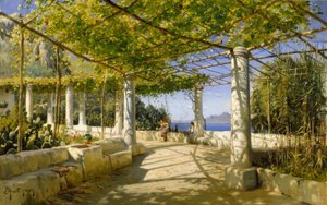 Vezüv manzaralı Capri
