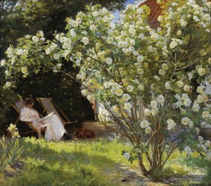 Güller. Marie Krøyer, Bayan Bendsen