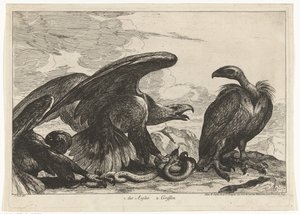 Akbaba ve yılanlı kartal 1. des Aigles 2. Griffon (nesne üzerindeki başlık) Versailles Hayvanat Bahçesinden Kuşlar (dizi başlığı)