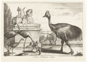 Cassowaries, mor coot ve flamingolar 1. Bleuets 2 Becharoux 3. Casuels (nesne üzerindeki başlık) Versay Hayvanat Bahçesi