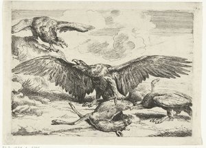 Üç kartal ölü bir geyik için kavga ediyor Diversi uccelli (dizi adı) by Peeter Boel