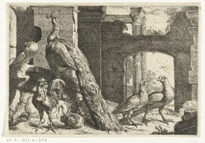Tavus kuşu ve diğer hayvanlar Diversi uccelli (dizi adı) by Peeter Boel
