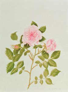  by Peggy Wyatt