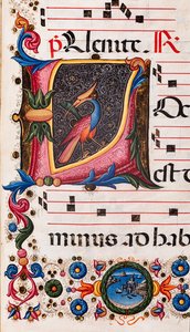 Piccolomini Kütüphanesi: koro kitabı, morina. 5.E, ff. Pellegrino di Mariano tarafından "Foliated ilk" ile 63r. Detay.