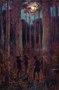 Geceleri Avustralya ormanı, "ay" opossums (renkli litho)
