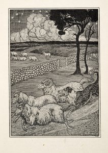 A Hundred Anecdotes of Animals