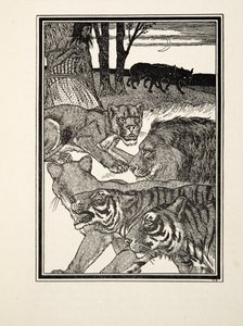 Hayvanların Yüz Anekdotundan Minnettar Bir Dişi Aslan, pub. 1924 (gravür) by Percy J. Billingshurst
