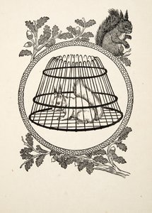 Hayvanların Yüz Anekdotundan Bir Mülteci Sincap, pub. 1924 by Percy J. Billingshurst