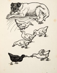 A Hundred Anecdotes of Animals