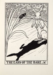 Hare